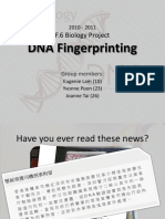 DNA Fingerprinting Process & Applications