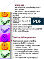 Financial Plan: Capital Needs, Loans, Pricing, ROI & Feasibility