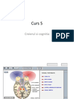 Curs 5 PDF PDF
