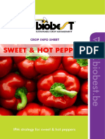 Crop Sheet Pepper & Sweet Pepper