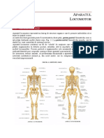 C 01 Aparatul Locomotor