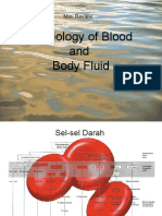 Physiology of Blood and Body Fluid: Mini Review