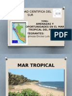 Amenazas y Oportunidades en El Mar Tropical Del Pacifico