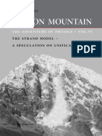 motionmountain-volume6