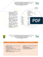 Mapa Cognitivo