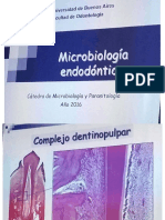 Microbiologia endodóntica