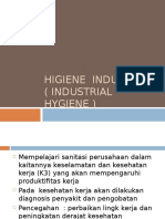 Intro Higiene Industri2