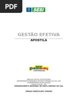 Apostila gestão efetiva