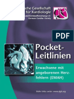 2008 Pocket-Leitlinien EMAH
