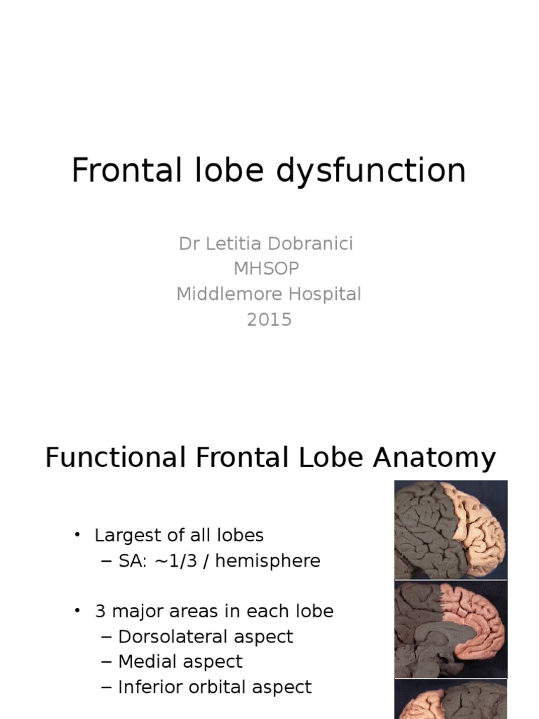 Frontal Lobe Syndrome PDF Dementia Frontal Lobe