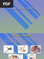 tejidos animales.pdf