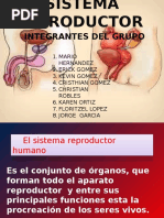 Sistema Reproductor