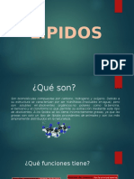 Lipidos