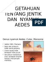 Pengetahuan Tentang Jentik & Nyamuk Aedes
