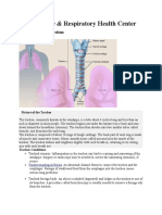 Lung Disease & Respiratory Health Center: Image Collection: Human Anatomy