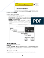 Anatomia Cpu Unprg Sistema Nervioso Cap-Iv PDF