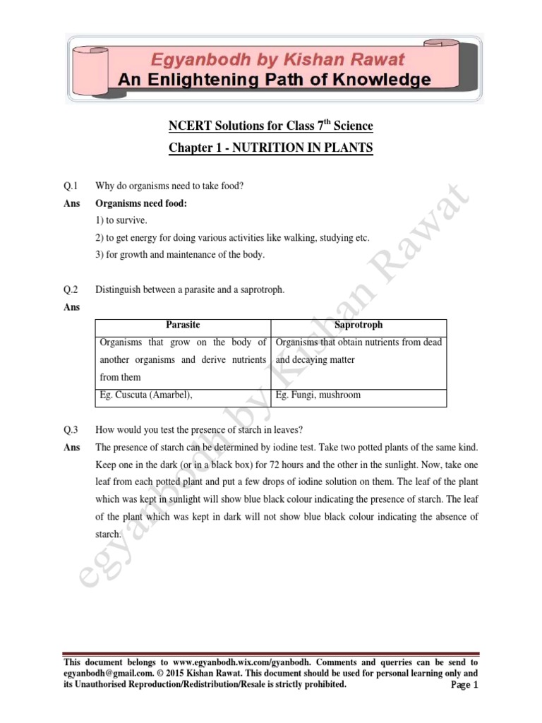 Class 7 - Chapter 1 - Nutrition in Plants | PDF | Plants | Photosynthesis