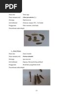 Download Laporan Praktikum Farmakognosi Makroskopik by Chanica Aninditya SN337080669 doc pdf