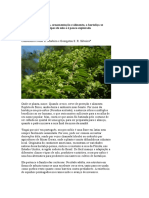 Usada Como Cerca Viva, Ornamentação e Alimento, A Hortaliça Se Desenvolve em Vários Tipos de Solo e É Pouco Explorada Comercialmente