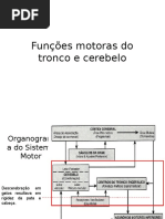 Funções Motoras Tronco e Cerebelo