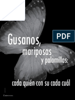 Gusanos, Mariposas y Palomillas