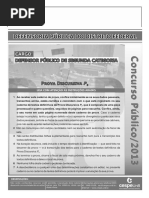 DPDF Superior 2013 P3