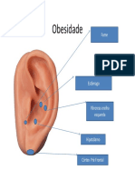 protocolos de  auriculoterapia.pdf