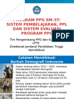 Program PPG Sm-3t