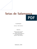Setas de Salamanca.pdf