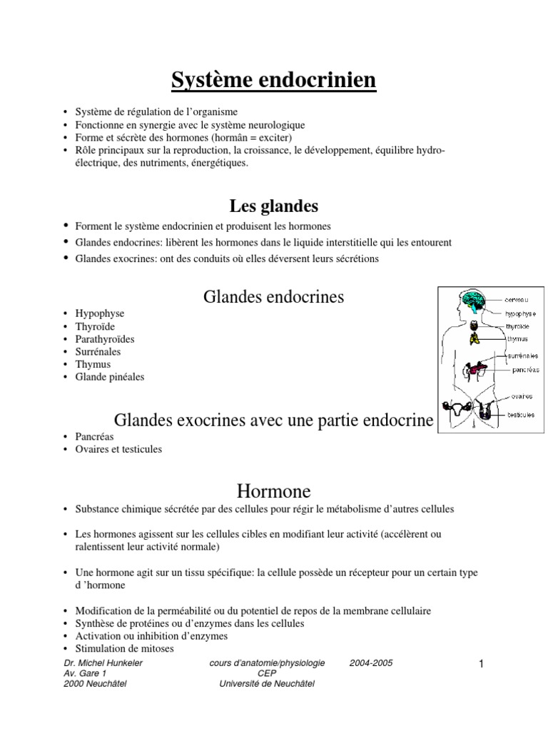Comprendre le Système Endocrinien | PDF | Hormone | Diabète sucré