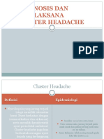 Cluster Headache Fix