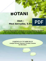 PPT BOTANI Mezi Anropika