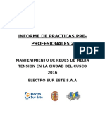 Informe de Prácticas Pre 2