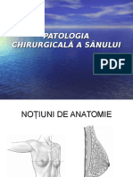 Patologia Chirurgicalca A Scaunului