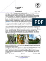 Kozterulet 2015 03 PDF