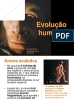 Evolucao Humana II