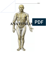 Ulj ZDF Zn1 Afp Sno Anatomija Skripta 01