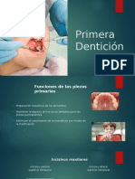 Dientes primarios: funciones e incisivos, caninos y molares