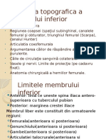 Anatomia Topografica a Membrului Inferior