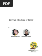 Curso Basico Bonsai Rubem