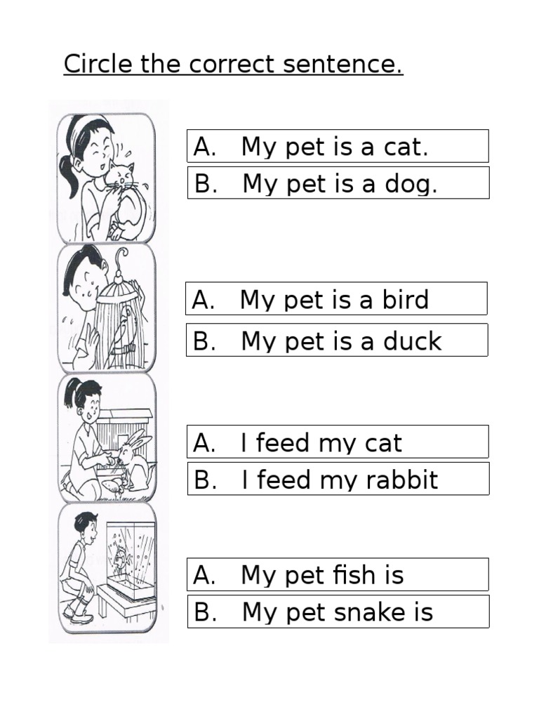 How To Read The Correct Sentence