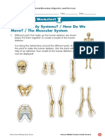 Body Systems Stage 5