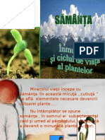 Samanta