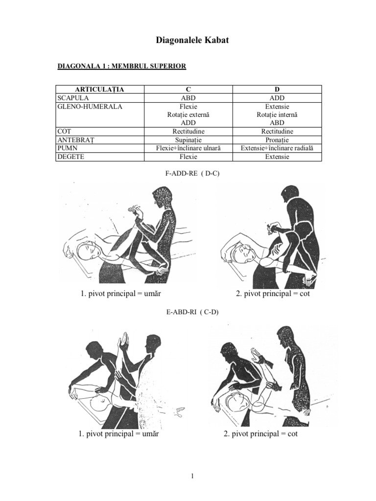 Diagonale Kabat | PDF