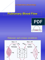 Respiratory Physiology Lectures on Pulmonary Blood Flow