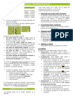 AGRICOLA - Resumen de Reglas