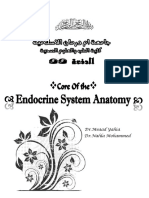 Anatomia Sistemului Endocrin