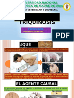 Triquinosis