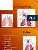 Sistemul Respirator 