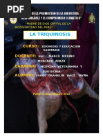 Monografia de Triquinosis